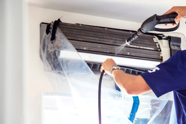 Best HVAC Duct Inspection Services  in Cane Savannah, SC