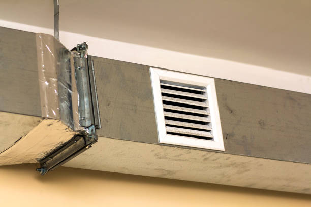 Best Affordable Duct Cleaning Services  in Cane Savannah, SC